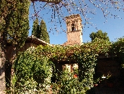 DSC03449.JPG
