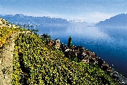 0824_Lavaux.jpg