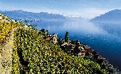 0824_Lavaux.jpg