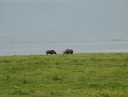 DSC04030.JPG