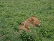 DSC04054.JPG