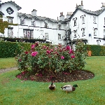 1.HakuanoHotel.jpg